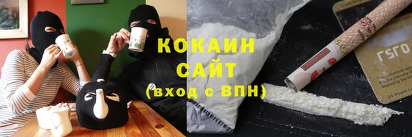 дурь Осташков