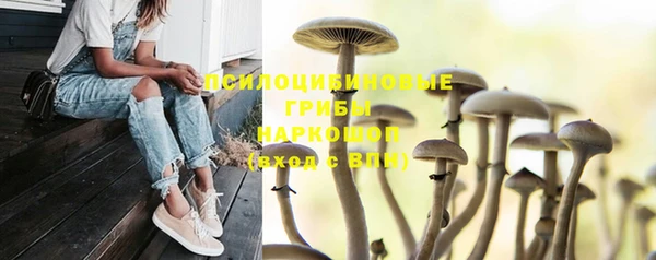 дурь Осташков