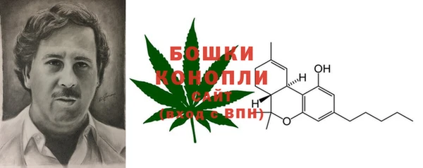дурь Осташков