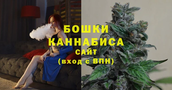 дурь Осташков