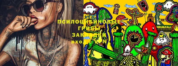 ALPHA-PVP Осинники
