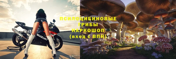 дурь Осташков